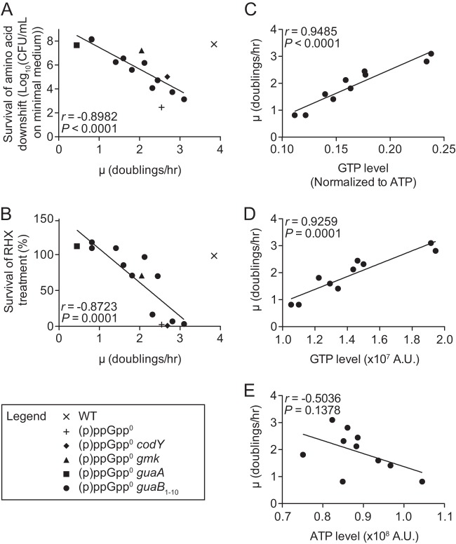 FIG 2