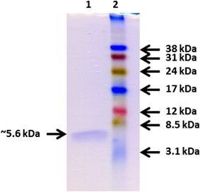 Fig. 1