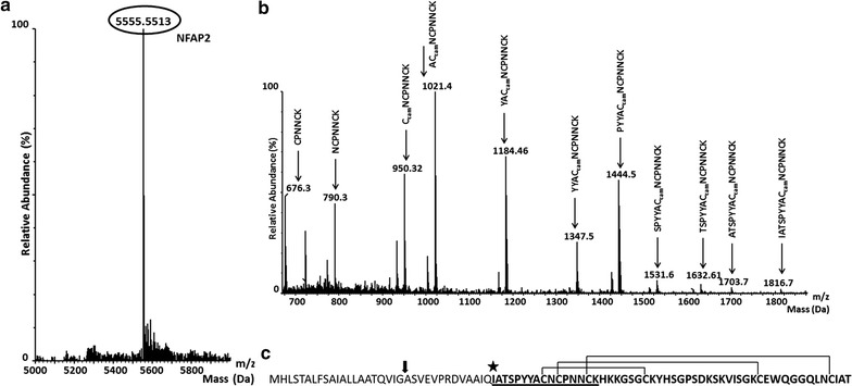 Fig. 2