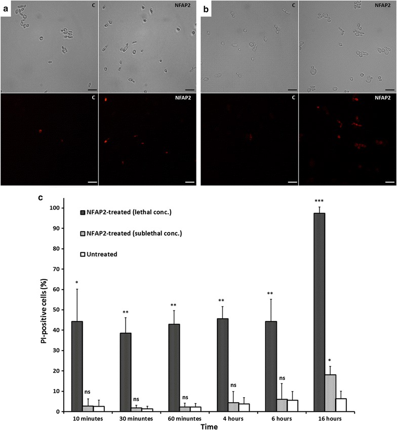 Fig. 4