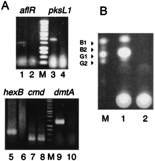 FIG. 5.