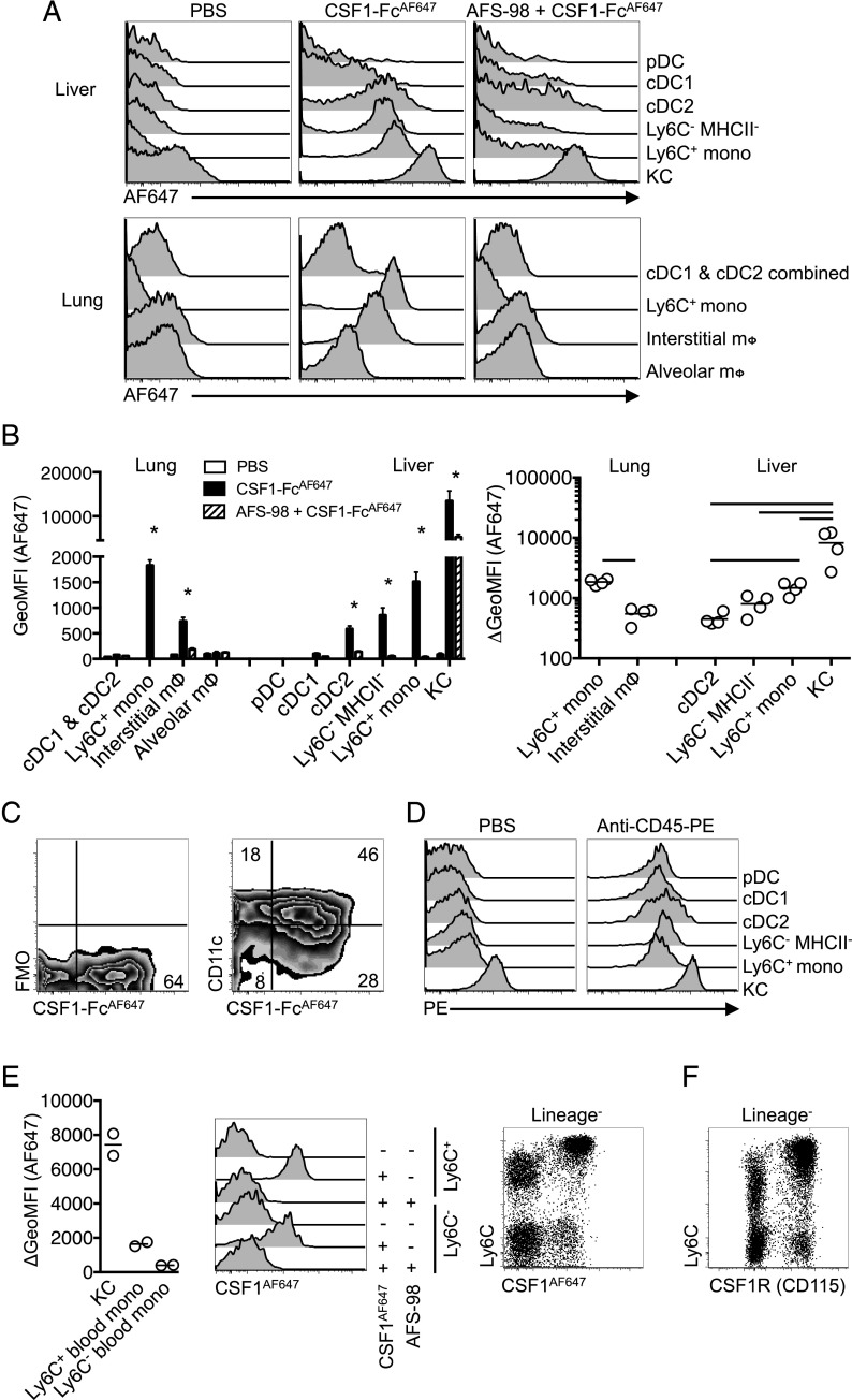 FIGURE 6.