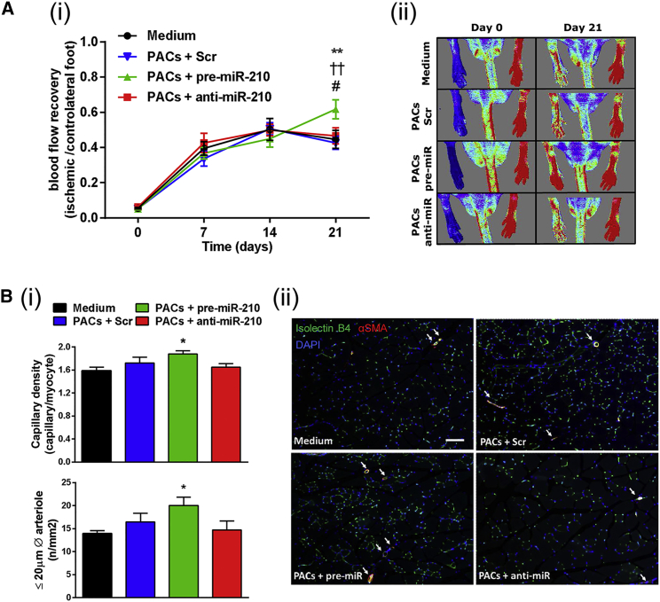 Figure 6