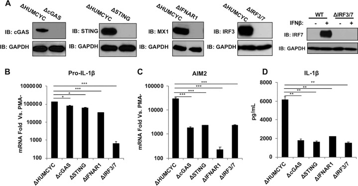 FIG 3