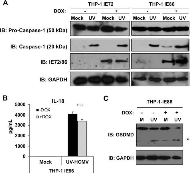 FIG 6