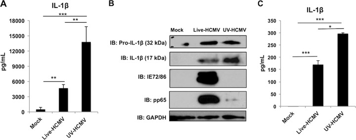 FIG 1