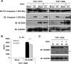 FIG 6