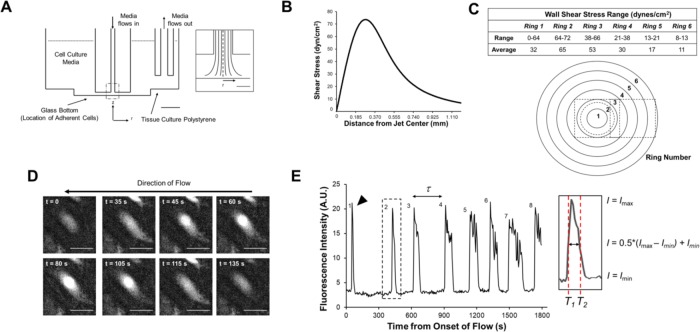 FIGURE 1: