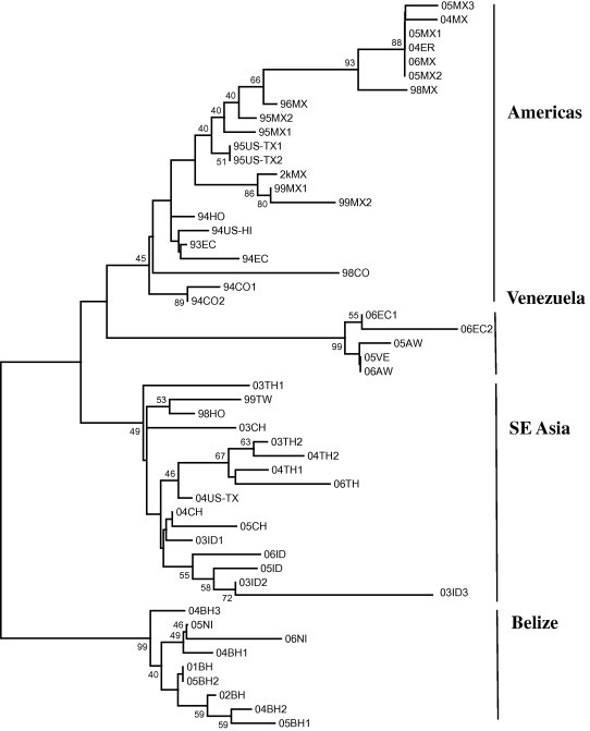 Fig. 8