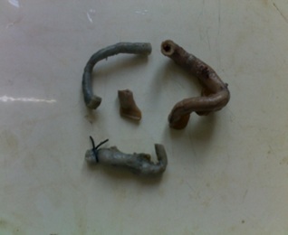 [Table/Fig-1]: