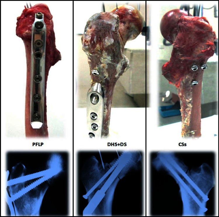 Fig. 1