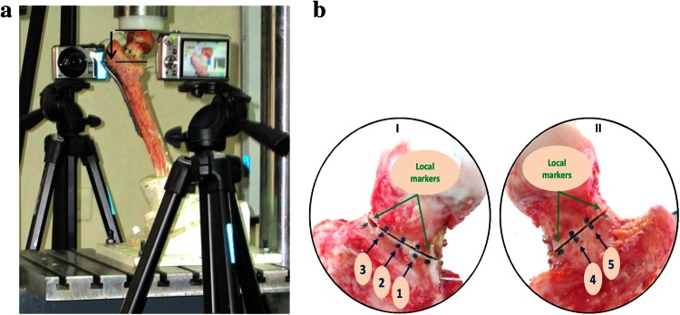 Fig. 2