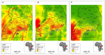 Maps showing bats, EVD and MVD distribution in Uganda with high Relative Probability Presence represented in red while low in green.