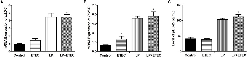 FIGURE 4