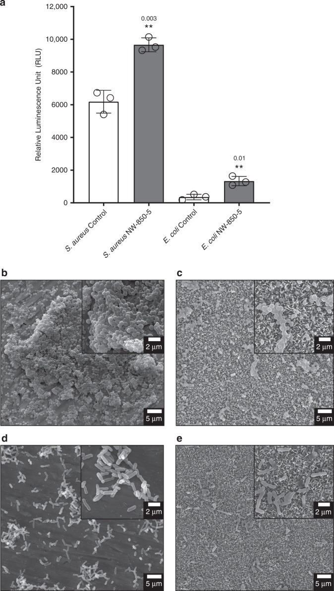 Fig. 10