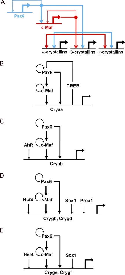 FIGURE 7.