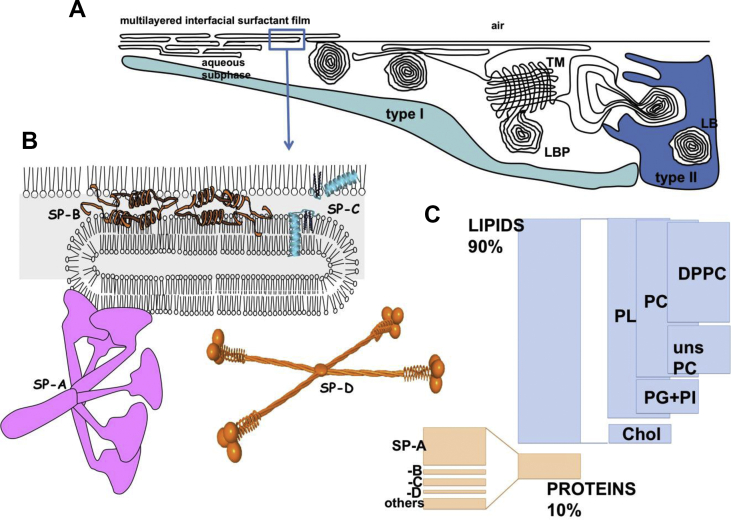 Fig. 1