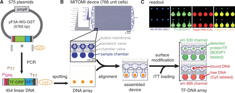 Figure 1.