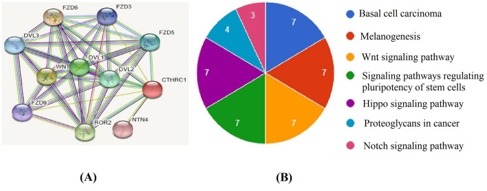 Figure 14