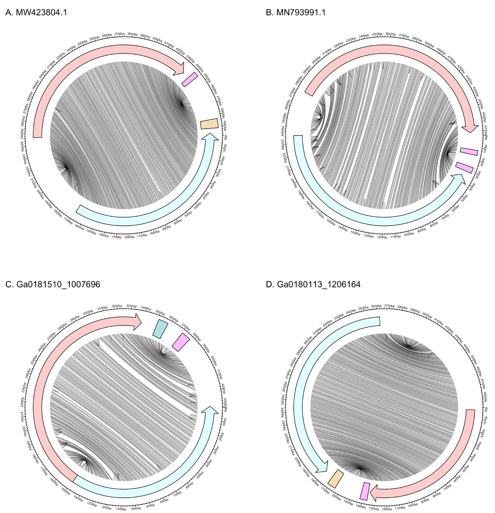 Figure 4: