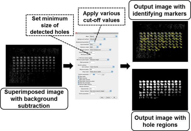 Figure 3.