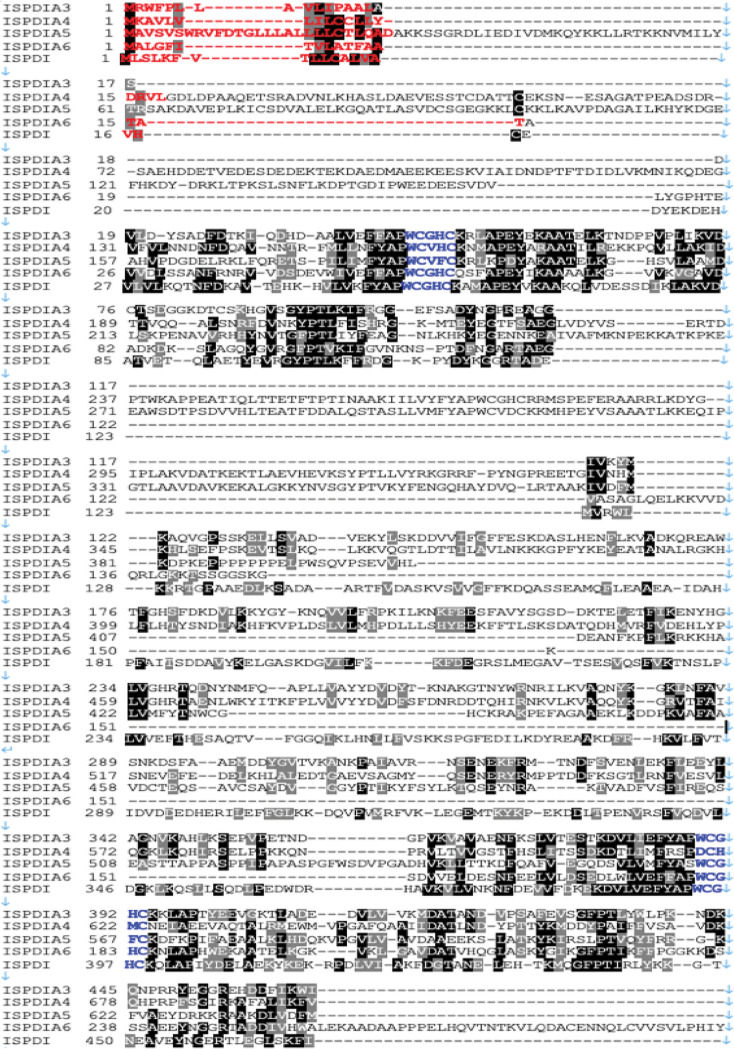 FIG 2