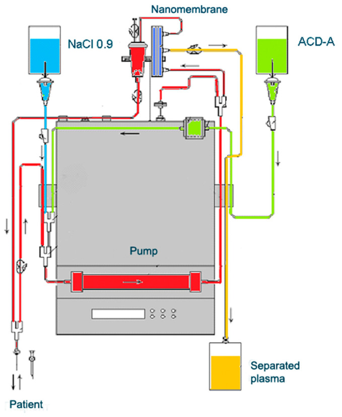 Figure 6