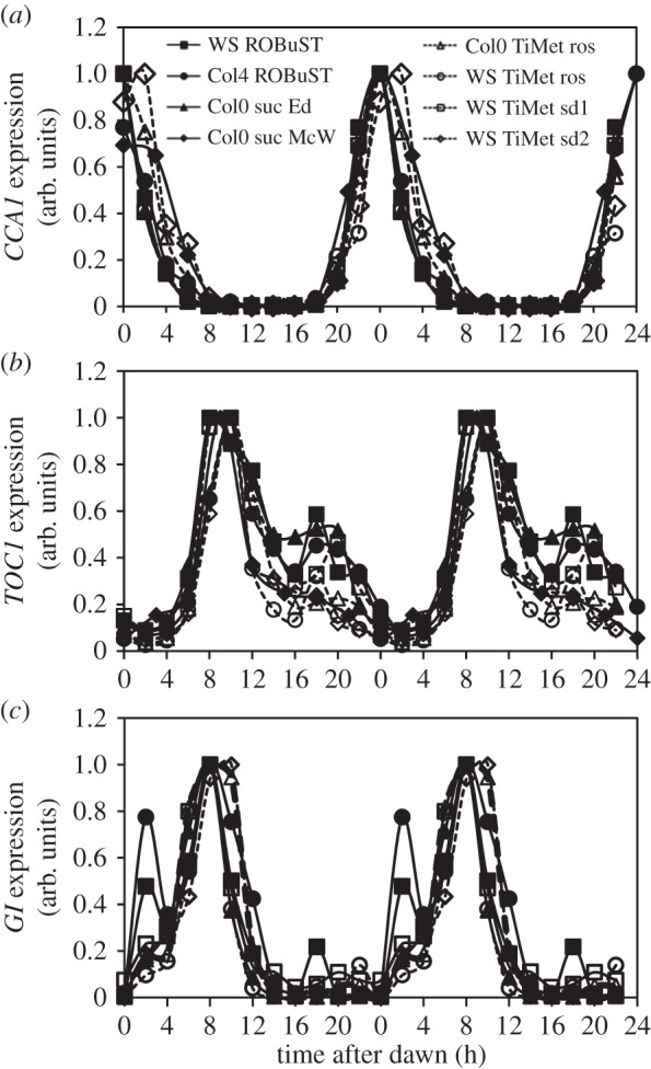 Figure 3.