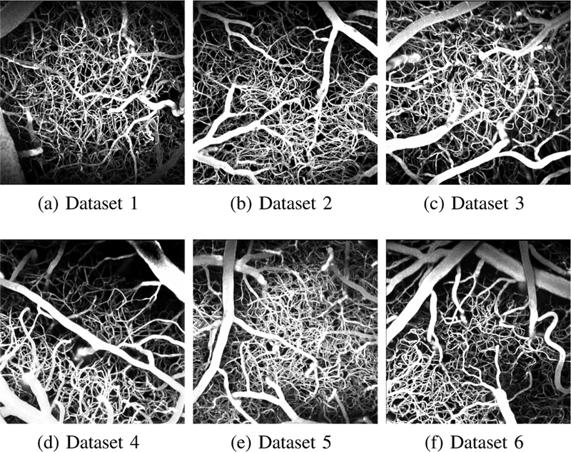 Fig. 3: