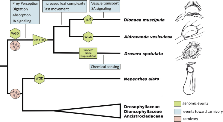 Figure 4