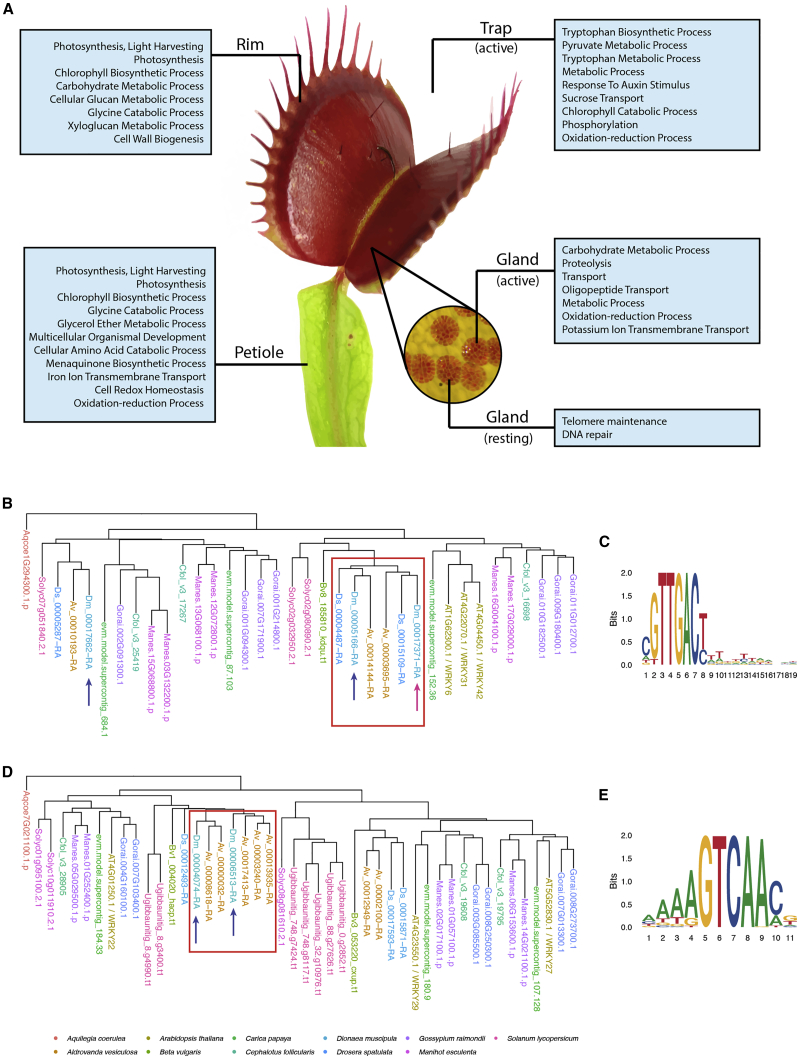 Figure 3