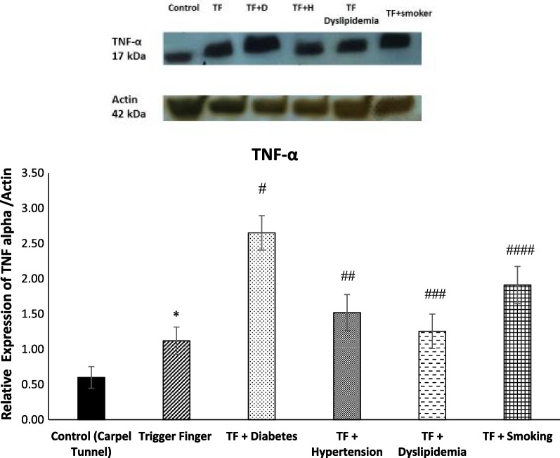 Fig. 11