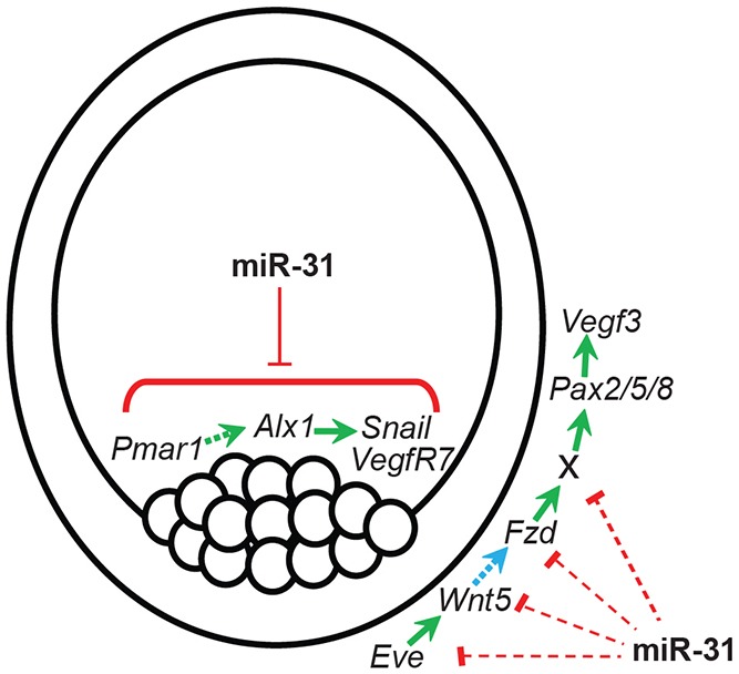 Fig. 10.