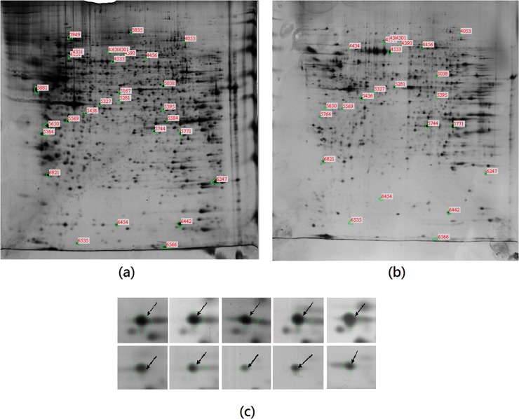 Fig 6