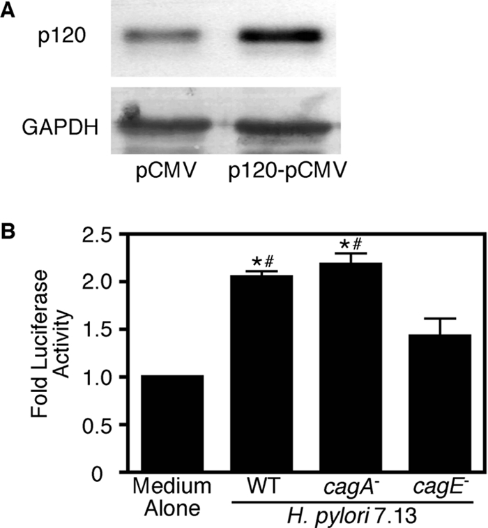 Figure 6.