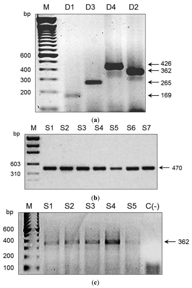 Figure 3.