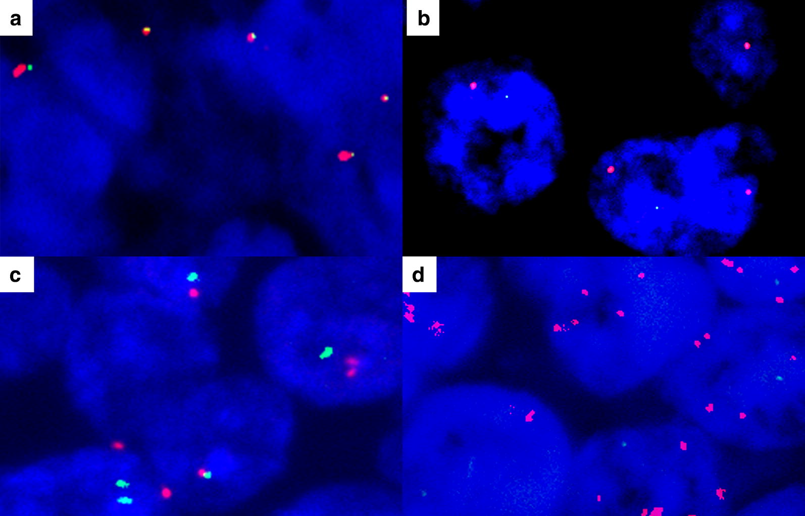 Fig. 2