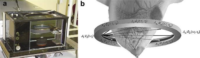 Fig. 1