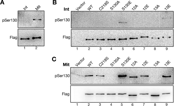 FIGURE 3: