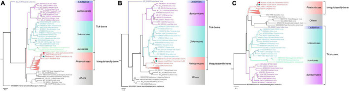 FIGURE 3