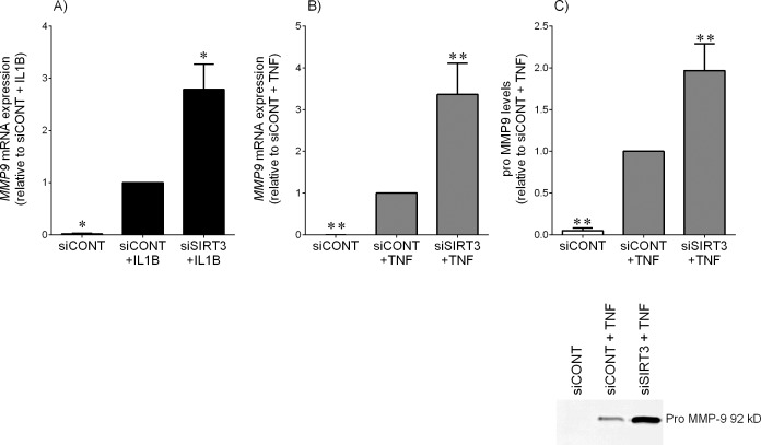 FIG. 6