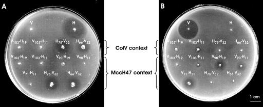 FIG. 4.