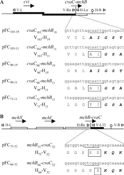 FIG. 2.