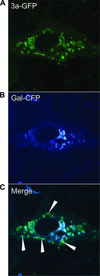 FIG. 6.