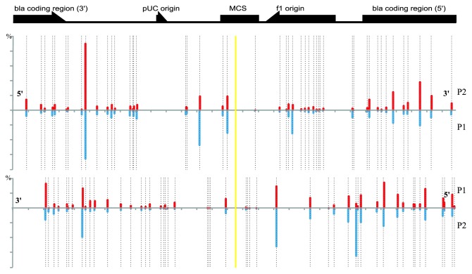 graphic file with name rna-10-716-g3.jpg