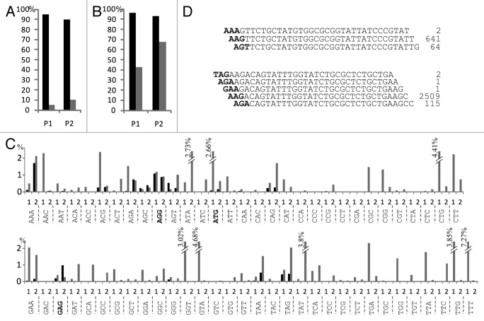 graphic file with name rna-10-716-g2.jpg