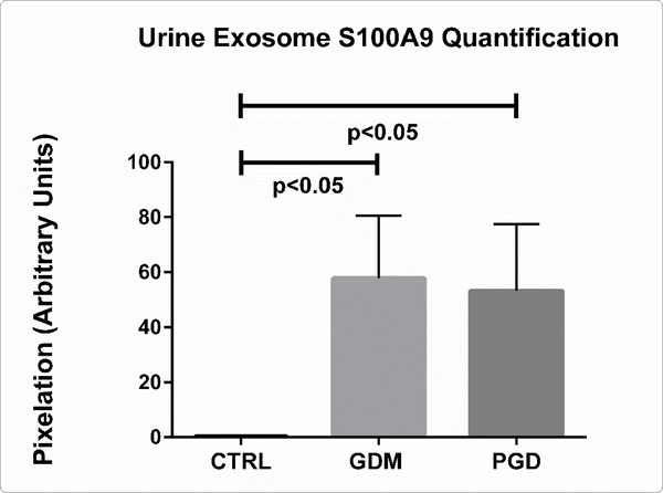 Figure 2B: