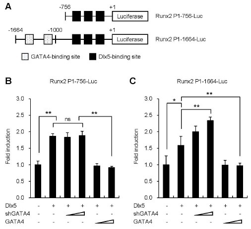 Fig. 3.