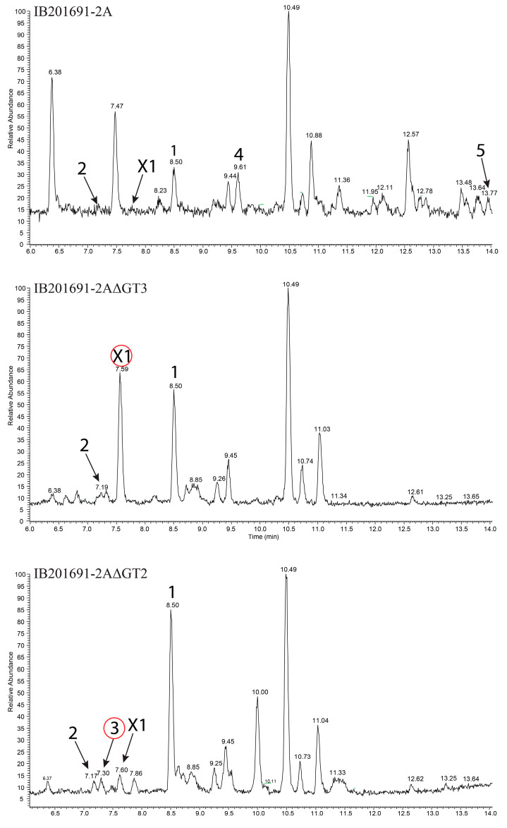 Figure 6