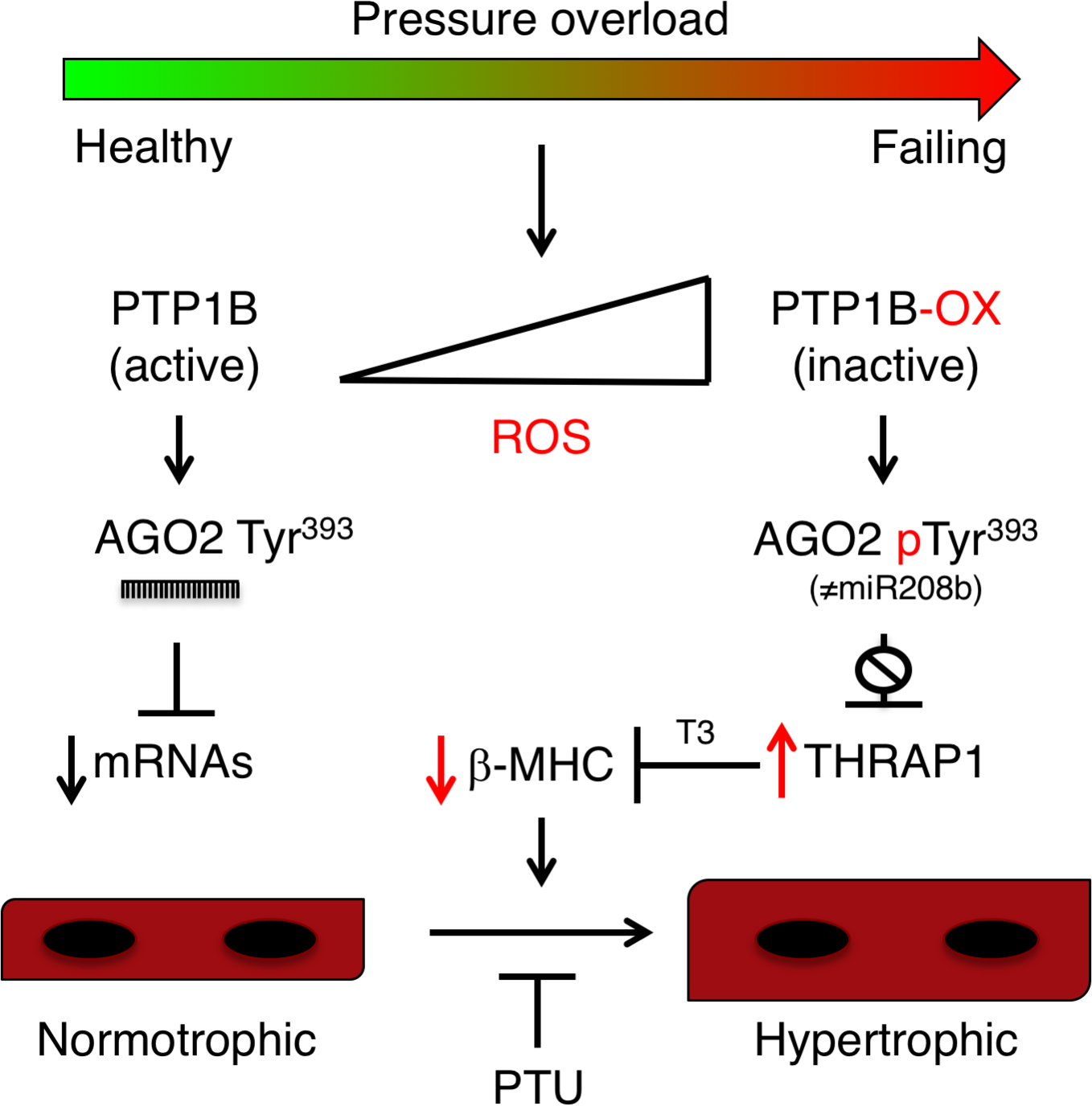 Figure 7.